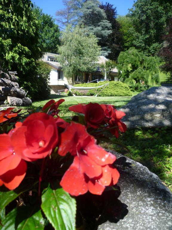 Il Colombe B&B Barzano Luaran gambar