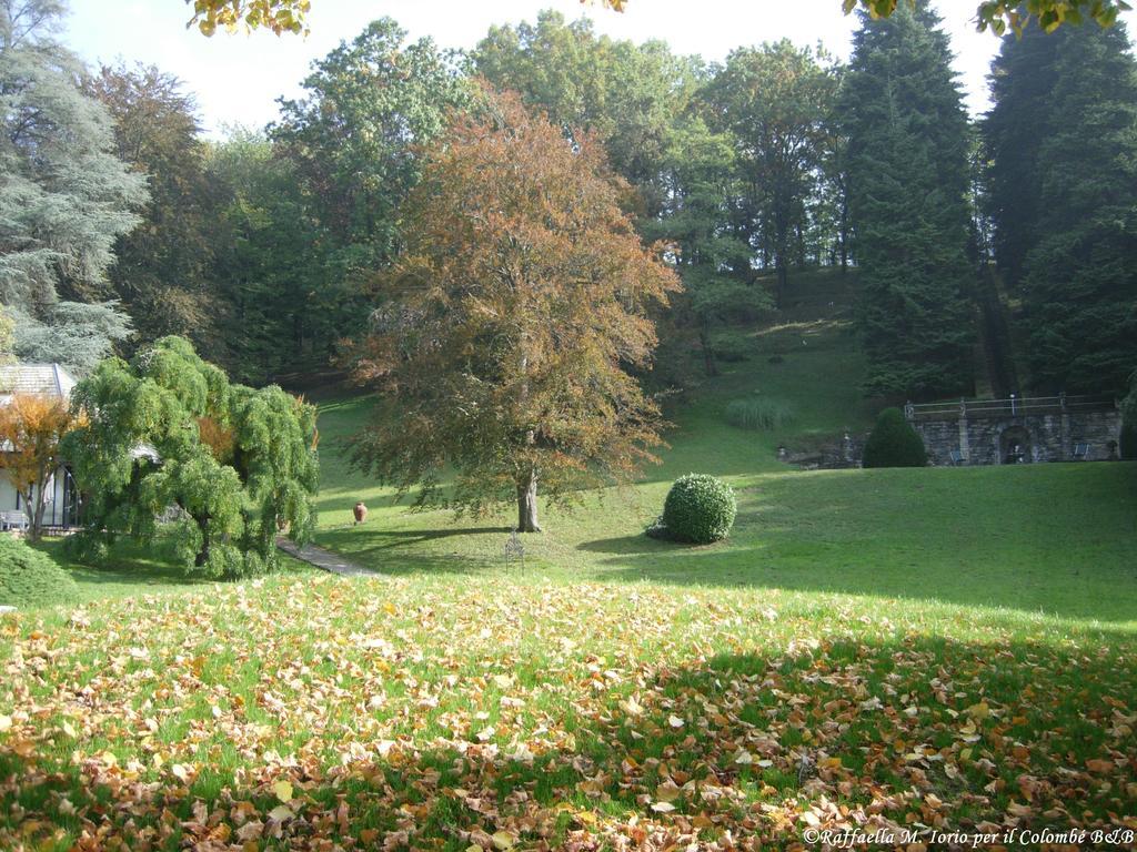 Il Colombe B&B Barzano Luaran gambar